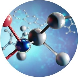 Macromolecules TEAS Exam By Experts