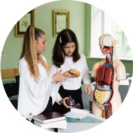 Physiology TEAS Exam Help